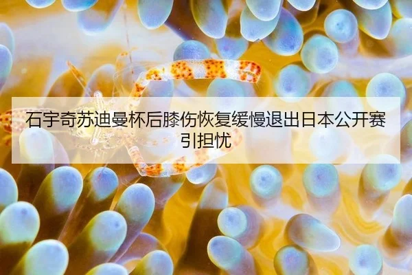 shi-yu-qi-su-di-man-bei-hou-xi-shang-hui-fu-huan-man-tui-chu-ri-ben-gong-kai-sai-yin-dan-you-3-833.jpg