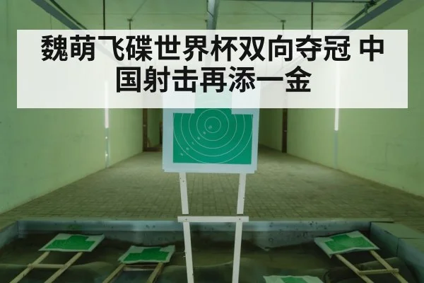 魏萌飞碟世界杯双向夺冠 中国射击再添一金